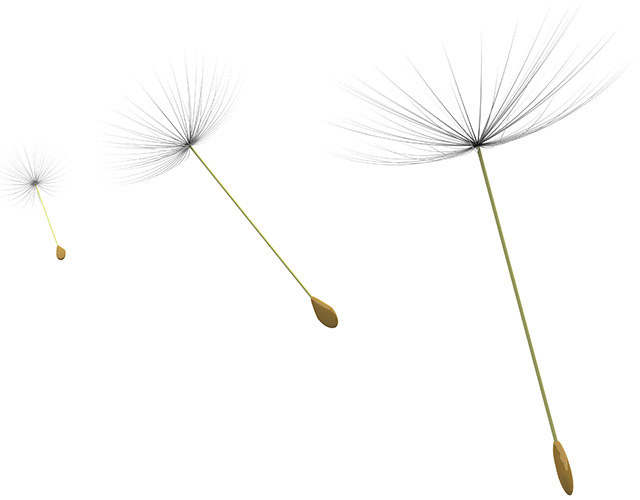 A Breath of Fresh Air