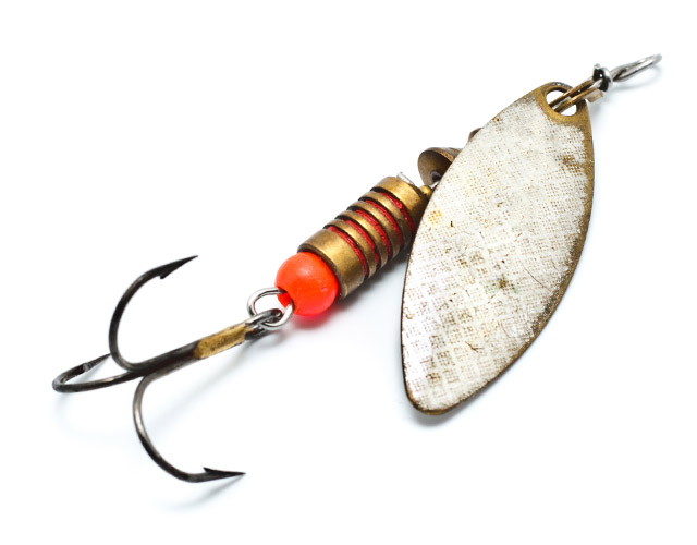 Enjoying Clean Water