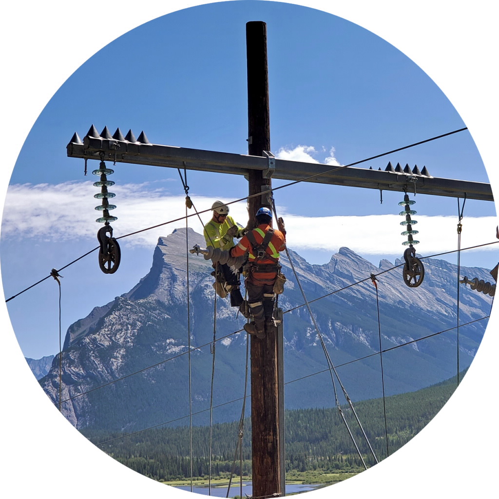 AltaLink transission assets