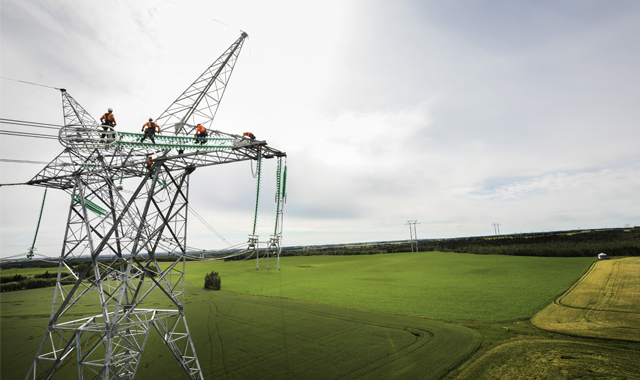 Environmental Respect