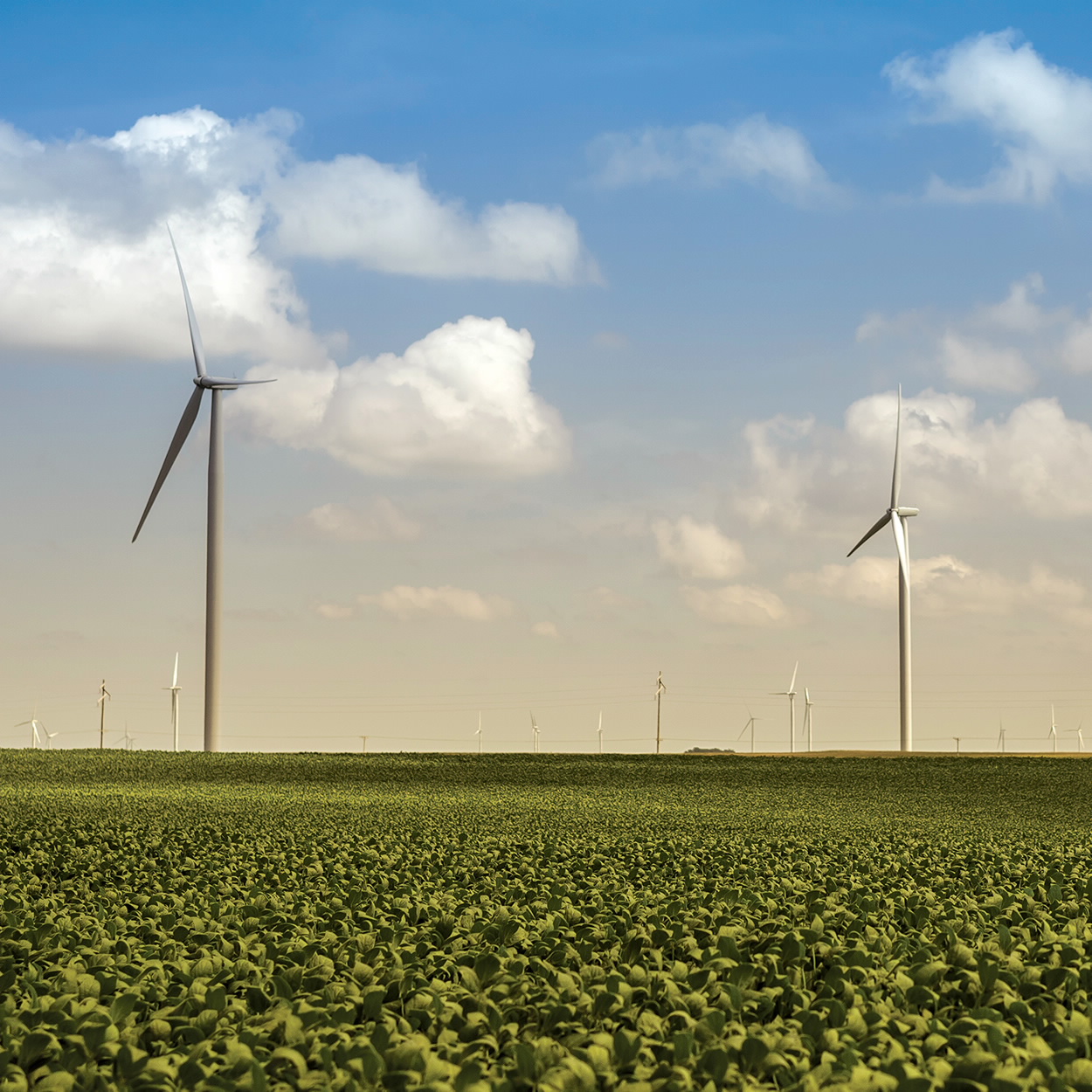 Environmental Respect