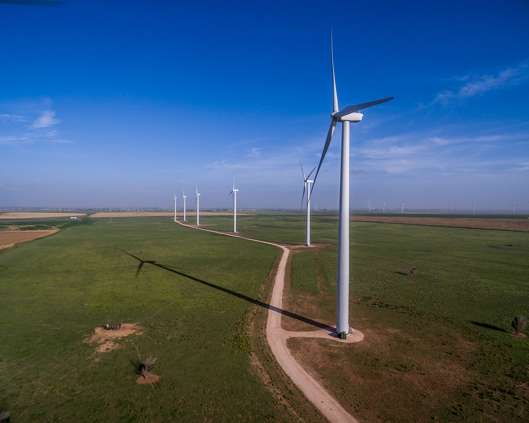 Environmental Respect