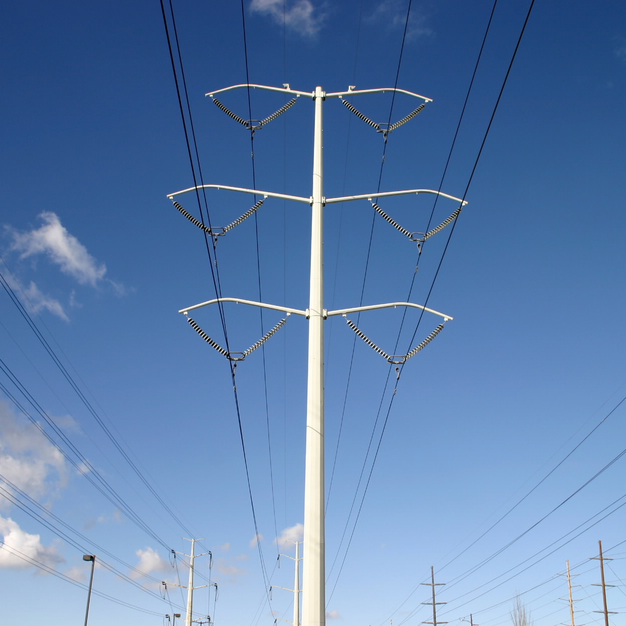 Environmental Respect