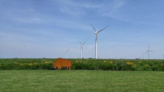 Environmental Respect