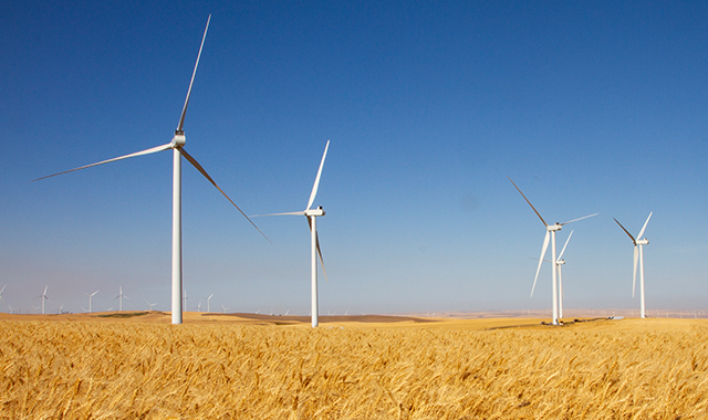 Environmental Respect