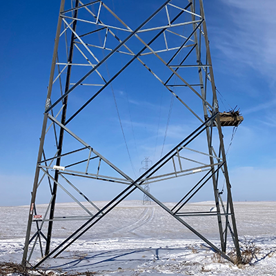 AltaLink Bird Protection