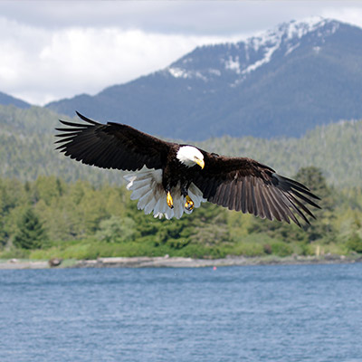 PacifiCorp Habitat Protection