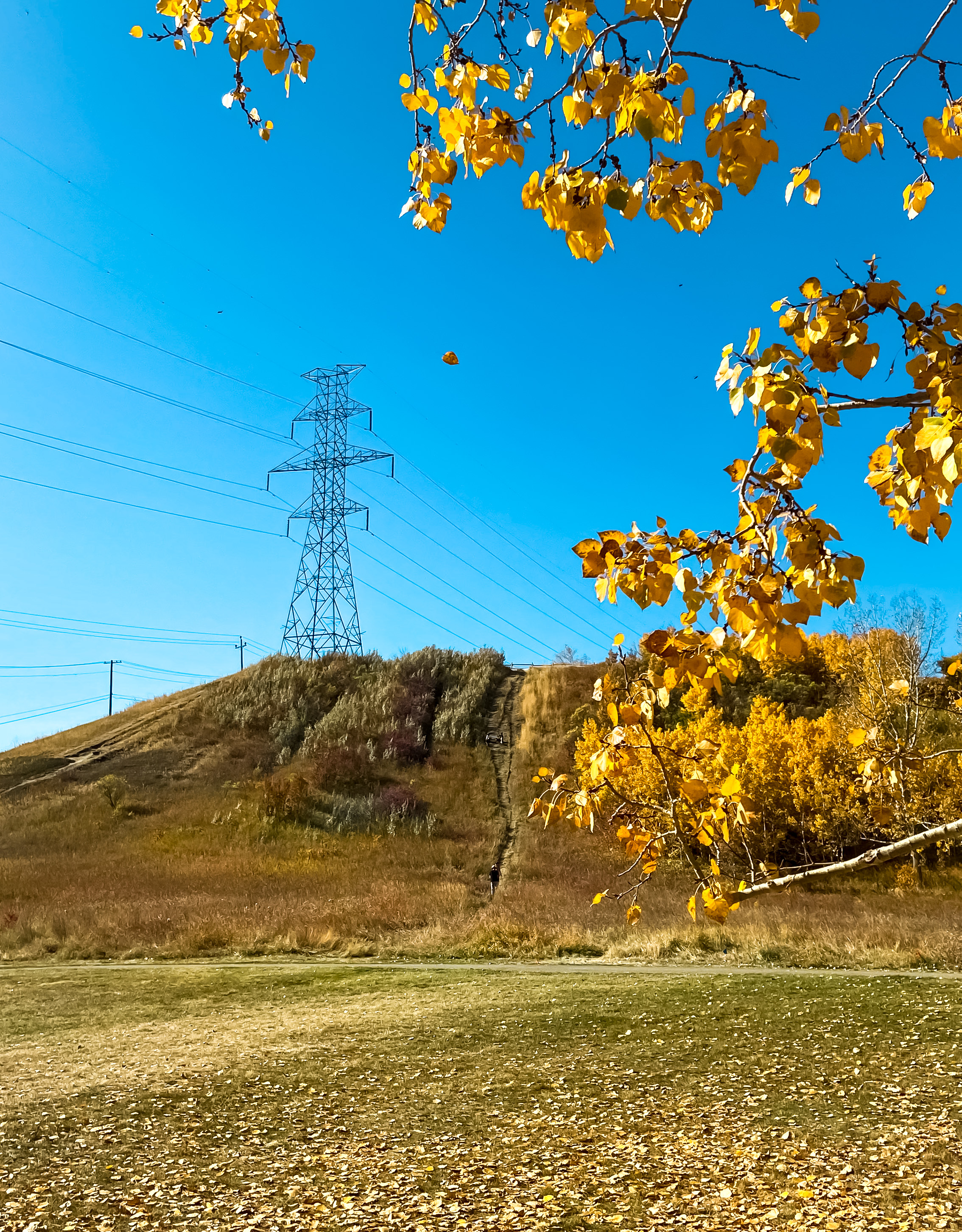 AltaLink transmission tower