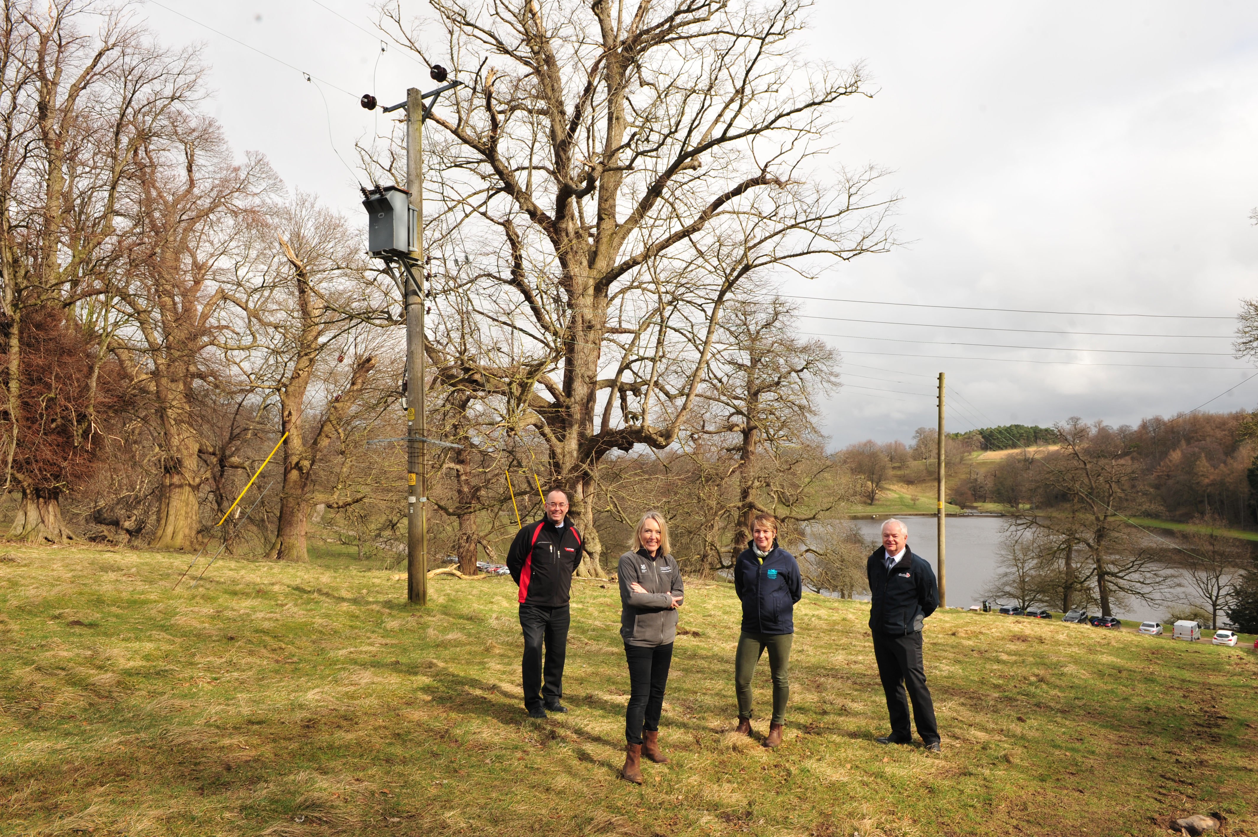 Northen Powergrid Landscape